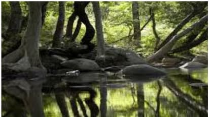 বাংলাতেই রয়েছে অ্যামাজনের মত চর, বিষধর সাপের সঙ্গে জীবন কাটান বাসিন্দারা