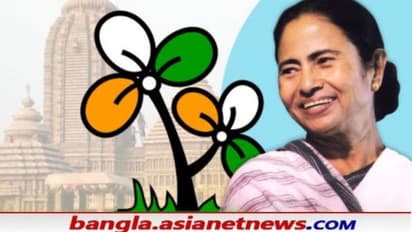 মুখ বন্ধ করতেই মমতার ওপর হামলা, অভিযোগ তুলে নন্দীগ্রামের ঘটনা নিয়ে নির্বাচন কমিশনে যাচ্ছে তৃণমূল