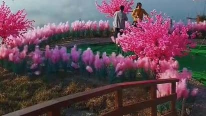 കാമുകിയെ ആകർഷിക്കാനായി പൂന്തോട്ടമുണ്ടാക്കി, കാമുകി തിരിച്ചു വന്നില്ല, അത് പ്രണയികളുടെ പറുദീസയായി