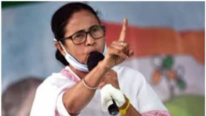শুধু ভাইপো নয়, কত সম্পত্তির মালিক মমতা বন্দ্যোপাধ্যায়, জেনে নিন আপনিও