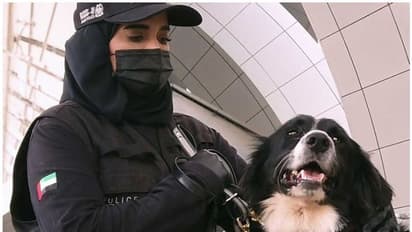 Anocovax:  జంతువుల కోసం.. దేశంలో తొలిసారి యాంటీ కోవిడ్ వ్యాక్సిన్.. 