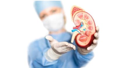 വൃക്കകളെ ആരോഗ്യമുള്ളതാക്കാൻ ഈ പാനീയങ്ങൾ കുടിക്കാം