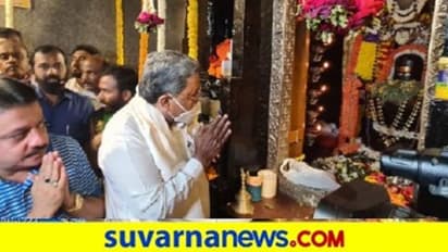 ಮಹಾಶಿವರಾತ್ರಿ; ವಿಶೇಷ ಪೂಜೆ ಸಲ್ಲಿಸಿದ ಸಿದ್ದರಾಮಯ್ಯ, ಜಮೀರ್ ಜತೆಗಿದ್ದರು