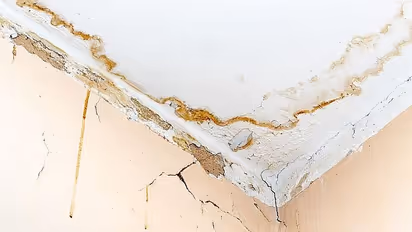 Cracks and seepage in the ceiling? Here's what you should do