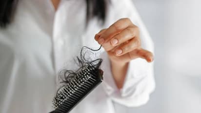 തലമുടി കൊഴിച്ചിൽ എന്ന പരാതി ഇനി വേണ്ട; പരീക്ഷിക്കാം ഈ ഹെയര്‍ പാക്കുകള്‍...