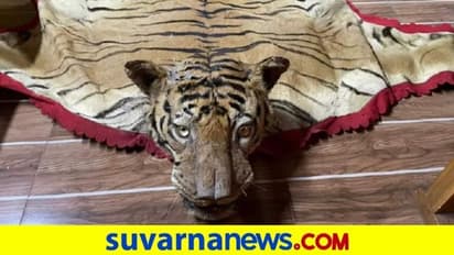 ಹುಲಿ ಚರ್ಮ ಮಾರುವ ವೇಳೆ ಸಿಕ್ಕಿಬಿದ್ದ ವ್ಯಕ್ತಿ ಅರೆಸ್ಟ್