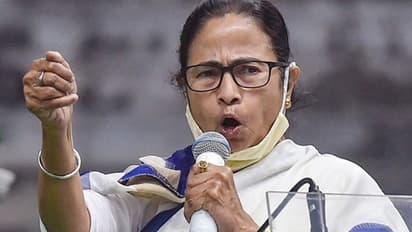 नकली वैक्सीनेशन कैंप पर बोली ममताः फर्जीवाड़ा करने वालों पर होगी सख्त कार्रवाई, नेता भी सेल्फी से परहेज करें