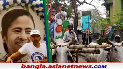 এবার কলকাতায় গরুর গাড়িতে প্রচারে নামলেন কসবার তৃণমূল প্রার্থী, দেখুন ছবিতে-ছবিতে