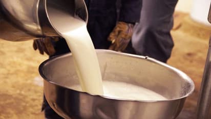 ಪ್ರತಿ ಲೀಟರ್ ಜೊತೆ 40 ML ಉಚಿತ ಹಾಲು: ಕೆಎಂಎಫ್ ಬಂಪರ್