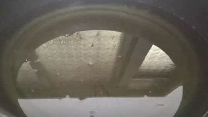 कभी खाया है मटन का अचार? 1 बार बनाकर 6 महीने तक कर सकते हैं स्टोर