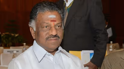 எனது வெற்றிவாய்ப்பு பிரகாசமாக உள்ளது.. தங்க தமிழ்ச்செல்வனுக்கு ஜர்க் காட்டும் ஓபிஎஸ்.