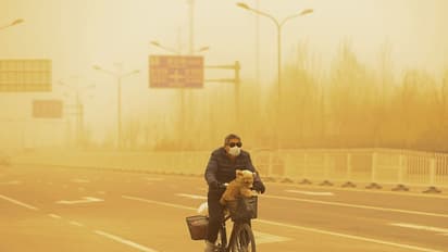 ঘন হলুদ ধোঁয়াশার আচ্ছাদনে শহর, চোখ-মুখ ঢেকে বাসিন্দারা - কোন নতুন বিপর্যয় বেজিং-এ, দেখুন