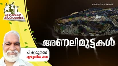 അണലിമുട്ടകള്‍,  പി രഘുനാഥ് എഴുതിയ കഥ