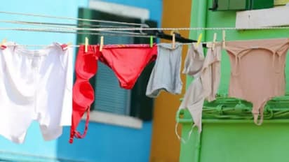 ಮಹಿಳೆಯ ಒಳ ಉಡುಪು ಕದ್ದವರು ಅಂದರ್!