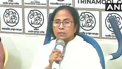 Highlights of TMC manifesto for Bengal polls