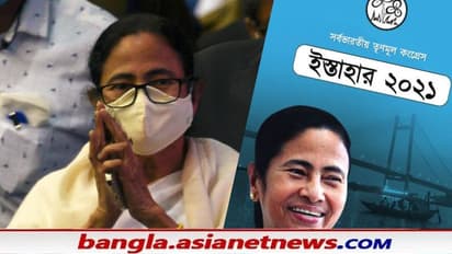 তৃণমূলের নির্বাচনী ইস্তাহার, জেনে নিন মমতা বন্দ্যোপাধ্যায়ের সেরা ১০ প্রতিশ্রুতি