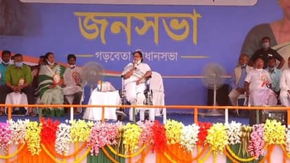 Mamata Banerjee slams BJP; says it lure voters with bagful of cash during polls