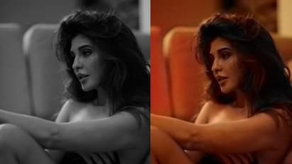 Is Jacqueline Fernandez in trouble? Enforcement Directorate questions actress in money laundering case