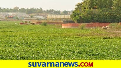 ಹುಬ್ಬಳ್ಳಿ: ಉಣಕಲ್ ಕೆರೆಯ ಜಲಕಳೆಗೆ ಕೋಟಿ ರೂ.ಹೋಮ..!