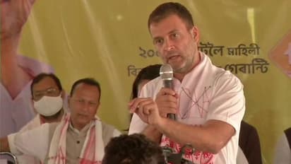 Assam: Rahul Gandhi promises special ministry for tea workers, no CAA if Congress is voted to power