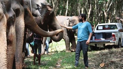 Here's how Rana Daggubati's co-star 'elephants' helped him perform on the sets of 'Haathi Mere Saathi'