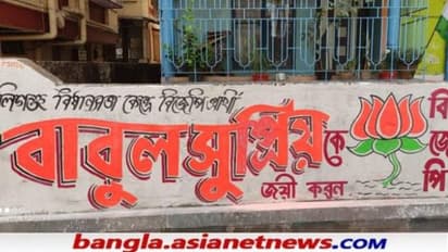 নির্বাচনী প্রচারে টালিগঞ্জের দেওয়াল ভরল বাবুলের নামে, দেখুন ছবিতে-ছবিতে