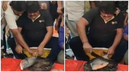 மீன் விற்பனை செய்து பிரச்சாரம் செய்து வாக்கு சேகரிக்கும் மன்சூர் அலிகான்!