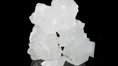 ಬೇವು -ಕಲ್ಲು ಸಕ್ಕರೆ ಆರೋಗ್ಯಕಾರಿ: ಪ್ರಧಾನಿ ಮೋದಿ ಫಿಟ್‌ನೆಸ್ ಸೀಕ್ರೇಟ್!