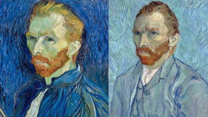 മരിച്ച് രണ്ട് പതിറ്റാണ്ടിനുശേഷം മാനസികാരോഗ്യകേന്ദ്രത്തിലുള്ള സഹോദരിക്ക് വേണ്ടി വാൻഗോഗ് പണം നൽകിയതെങ്ങനെ?