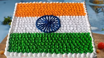 अशोक चक्र के साथ तिरंगे वाली केक काटना राष्ट्रभक्ति के खिलाफ नहीं: मद्रास हाईकोर्ट