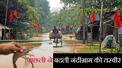 बंगाल इलेक्शन की सबसे हॉट सीट नंदीग्राम के किसानों को इस 'मछली' ने बना दिया मालामाल, कभी रोटी को तरसते थे