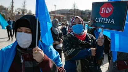 ചൈനയിൽ ഉയ്ഗറുകളെ പീഡിപ്പിക്കുന്നു, ഉദ്യോഗസ്ഥർക്ക് വിലക്കേർപ്പെടുത്തി പാശ്ചാത്യരാജ്യങ്ങൾ