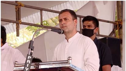 'സിപിഎം ജോലികൊടുക്കുന്നത് അവർക്ക് വേണ്ടപ്പെട്ടവർക്ക് മാത്രം', രൂക്ഷ വിമർശനമുന്നയിച്ച് രാഹുൽ ഗാന്ധി