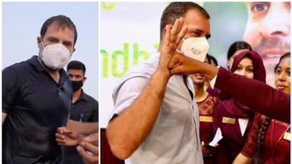 'പുഷ് അപ്പ്, നീന്തൽ, ഐക്കിഡോ, സിക്സ് പാക്ക്' - രാഹുൽ ഗാന്ധി എന്ന ഫിറ്റ്നെസ് ഫ്രീക്ക്