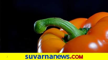 ಹೀಗಿದೆ ನೋಡಿ ಜಗತ್ತಿನ ಏಕೈಕ ಶಿಶ್ನ ಮ್ಯೂಸಿಯಂ!