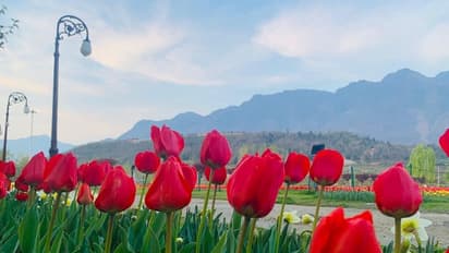 'ಇಲ್ಲಿಗೆ  ಒಮ್ಮೆ ಭೇಟಿ ಕೊಡಿ' ಸ್ವರ್ಗದಂತಹ ಜಾಗಕ್ಕೆ ಪ್ರಧಾನಿ ಮೋದಿ ಕರೆ