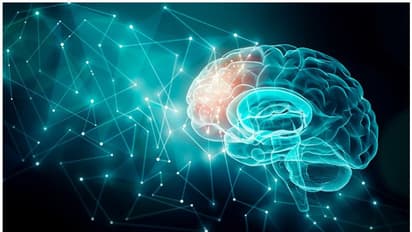 തലച്ചോറിന്റെ ആരോഗ്യത്തിന് വേണം ഈ മൂന്ന് ഭക്ഷണങ്ങൾ