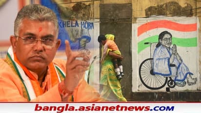 'বারমুডা' নিয়ে নেই আক্ষেপ, মমতাকেই পাল্টা আক্রমণ - বিতর্ক নিয়ে কী বললেন দিলীপ