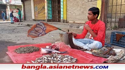 মাছ বিক্রি করতে করতেই অভিনব প্রচার, দৃষ্ঠান্ত স্থাপন করলেন এই মোদী ভক্ত বিজেপি সমর্থক