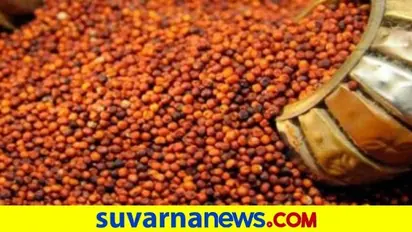 ಚಿಕ್ಕಬಳ್ಳಾಪುರ : ರೈತರಿಂದ ಲಕ್ಷಾಂತರ ಕ್ವಿಂಟಲ್ ರಾಗಿ ಖರೀದಿ