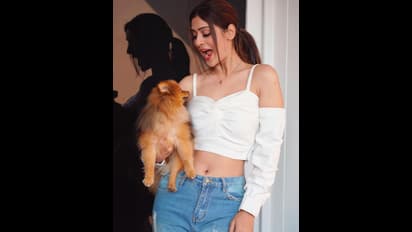 జీన్ ప్యాంటుకి టాప్ కి గ్యాప్ ఇచ్చి హాట్ స్పాట్ చూపించిన పాయల్ రాజ్ పుత్