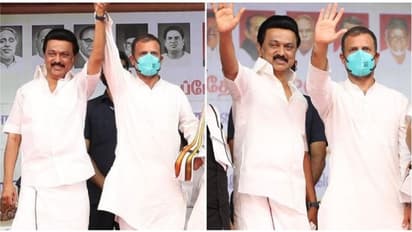 உடனே சார்ஜ் எடுங்க... அந்த வேலையை மட்டும் முடிங்க... மோடி இடத்தைப் பிடிக்க ராகுலுக்கு ஸ்டாலின் சொன்ன அட்வைஸ்!