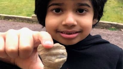 പൂന്തോട്ടത്തിൽ ആറുവയസുകാരൻ കണ്ടെത്തിയത് 48 കോടി വർഷം പഴക്കമുള്ള ഫോസിൽ?