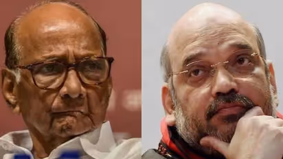 Everything can't be made public: Amit Shah on meeting NCP chief Sharad Pawar