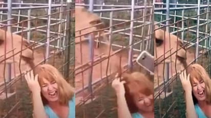 ഒപ്പം സെൽഫിയെടുത്ത സ്ത്രീയുടെ തലമുടി കടിച്ചു വലിച്ച് ഒട്ടകം; വീഡിയോ