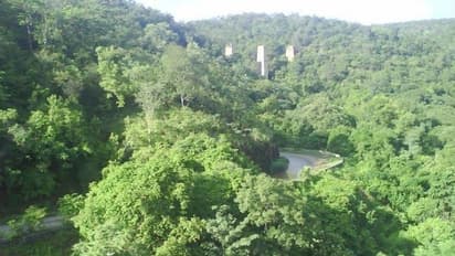 గిరిజనుల మర్మాంగాలపై దాడి చేయలేదు.. వైద్య ఖర్చులు మావే, అటవీ శాఖ ప్రకటన