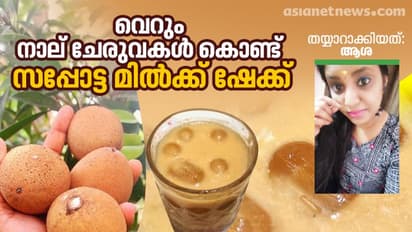സപ്പോട്ട കൊണ്ട് മിൽക്ക് ഷേക്ക് ഇങ്ങനെ തയ്യാറാക്കൂ