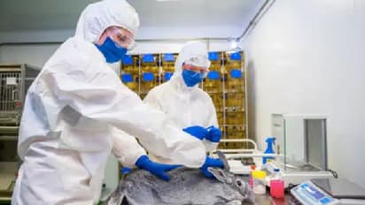 മൃഗങ്ങള്ക്കും കൊവിഡ് വാക്സിന്; ചരിത്രപരമായ ചുവടുമായി റഷ്യ