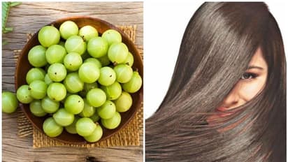 മുടി തഴച്ചു വളരാൻ ഇതാ നെല്ലിക്ക കൊണ്ടുള്ള ഹെയർ പാക്കുകൾ