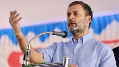 BJP trying to destroy Bengal and its culture; TMC failed at given opportunity: Rahul Gandhi